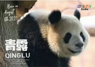 微信图片_20250112105726