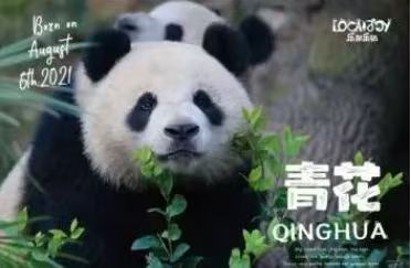 微信图片_20250112105731